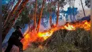 Alerta roja por incendios forestales en nueve regiones: riesgo se mantiene hasta el 5 de octubre