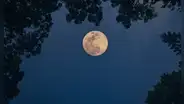 Calendario lunar de octubre 2026: cuándo habrá luna llena y cuáles serán las fases lunares de este mes