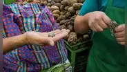 Inflación en Lima llega a 4,55% anual y supera ampliamente el registro de años anteriores