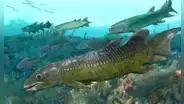 Unos fósiles de hace 325 millones de años revelarán los secretos de un antiguo fondo marino oculto en las profundidades