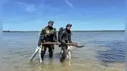 Investigadores hallan en un lago de Alemania maderas talladas de hace 10.500 años que podrían cambiar lo que sabemos de nuestros antepasados