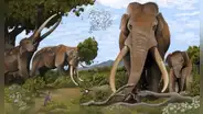 Un diente de elefante de 700.000 años de antigüedad revela un ecosistema perdido que compartieron los primeros humanos