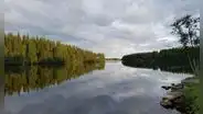 Finlandia ordena detener dos centros de datos de Google tras descubrir que sus contratistas talaron más de 330 hectáreas de bosque protegido