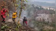 Río Tambo en emergencia por incendio forestal que arrasa bosques, cultivos y viviendas: municipio pide apoyo urgente