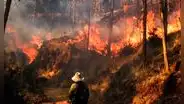 59 incendios forestales activos en todo el Perú: comunidades pierden cultivos, viviendas y ganado