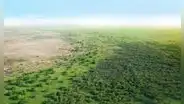 África quiere crear su propio Amazonas con una inversión de US$33.000 millones: se usará 100 millones de hectáreas para detener la desertificación