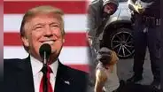 Donald Trump es duramente criticado por alabar una violenta detención del ICE a un inmigrante: "Nuestros héroes..."