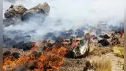 Incendios forestales en Puno dejan dos fallecidos, 22 heridos y arrasan casi 30.000 hectáreas