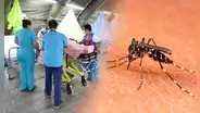 ¡Cuidado! Minsa alerta que automedicarse con doxiciclina por dengue puede poner en riesgo la vida