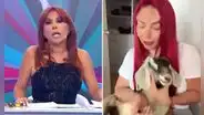 Magaly Medina queda impactada tras ver imágenes de Deysi Araujo con un cabrito y exige que las quiten de su programa: "Son chocantes"