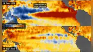 La NASA advierte sobre el posible El Niño más intenso desde 1950: detectan calentamiento anómalo y cambios de color en el Pacífico