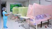 Dengue supera los 71.000 casos y suma 75 muertes en Perú ante la llegada de El Niño
