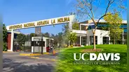 Oportunidades de pasantías en EE. UU.: Universidad Agraria La Molina y la Universidad de Califormnia-Davis coordinan programas de intercambio