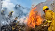 Superó todo el 2025 y van 224 siniestros: la ola de incendios forestales que amenaza la Cordillera Blanca, el Huascarán, el turismo y cultivos en Áncash