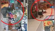 Falso delivery deja nota extorsiva y dispara contra pollería en La Perla: clientes se lanzaron al suelo para evitar ser heridos
