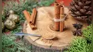 Los jardineros recomiendan echar canela en la tierra de las plantas: para qué sirve y qué beneficios puede aportar