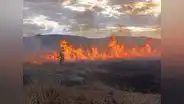 Incendios forestales: Las consecuencias y la desatención