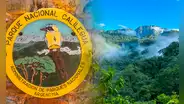La histórica donación de 76.000 hectáreas de la familia Blaquier que ayudó a crear un parque nacional para proteger una selva única de Argentina
