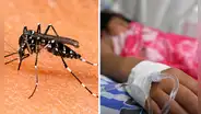 Niña de 4 años muere por dengue en La Libertad: región acumula más de 10.000 casos y 5 fallecidos