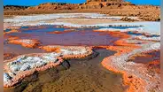 Uno de los lugares más calientes del mundo alberga vida: así es el desierto patrimonio de la humanidad cuyo suelo superó los 80 °C