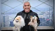César Millán, el 'encantador de perros': “Lo que sientes se convierte en tu energía, y eso es lo único que tu perro sabe de ti”