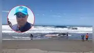 Ballena bebé es hallada varada en playa de Arequipa: especialista advierte que ya no puede salvarse
