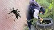 Alerta epidemiológica en Tumbes: confirman 2.394 contagios de dengue impulsados por lluvias de El Niño