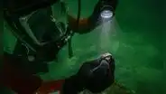 El primer anillo con sello que muestra al faro de Alejandría descubierto en un puerto antiguo sumergido de Egipto