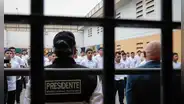 97% de los presos que ingresaron a penales por extorsión y armas en 2026 no tiene sentencia