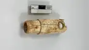 Un instrumento que no escuchó Odiseo: arqueólogos descubren en la antigua Troya una flauta de hueso de hace 2.700 años