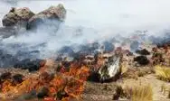 Los incendios forestales en Puno han dejado un saldo de dos fallecidos y 22 heridos, además de afectar 277 viviendas, con 40 de ellas inhabitables. Cientos de hectáreas de pastizales han sido destruidas. Los incendios forestales en Puno han dejado un saldo de dos fallecidos y 22 heridos, además de afectar 277 viviendas, con 40 de ellas inhabitables. Cientos de hectáreas de pastizales han sido destruidas.