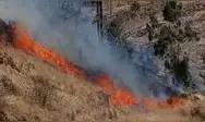 Un incendio forestal en Chupamarca, Huancavelica, destruyó la vivienda del alcalde Agripino Gustavo Pauyac Huaraca y dejó a cuatro personas afectadas por inhalación de humo. Un incendio forestal en Chupamarca, Huancavelica, destruyó la vivienda del alcalde Agripino Gustavo Pauyac Huaraca y dejó a cuatro personas afectadas por inhalación de humo.