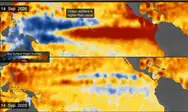La NASA detecta señales de un fenómeno El Niño intenso. Foto: NASA
