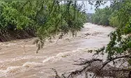 Lluvias en Tumbes activan quebradas y generan afectaciones en vías de acceso