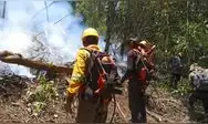 Los incendios forestales en Cutivireni, Junín, han arrasado más de 2.500 hectáreas afectando cultivos y viviendas de comunidades asháninkas. La situación es preocupante ante el incremento de las temperaturas.