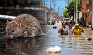 Leptospirosis supera en 2026 las muertes acumuladas de los últimos cuatro años