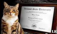 La universidad de Estados Unidos que otorgó un título honorífico a un gato