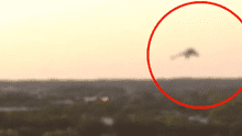 YouTube viral: ¿Dragón fue captado volando en Estados Unidos? Conoce la verdad [VIDEO]