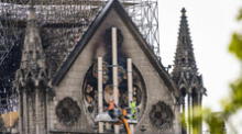 ¿Por qué se salvaron las abejas de Notre Dame tras el incendio? 