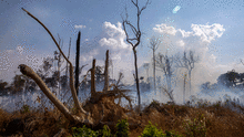 Chile envió cuatro aviones para colaborar con la extinción del fuego en la Amazonía 