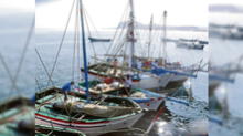 Atkins observa ordenanza de formalización de pesca