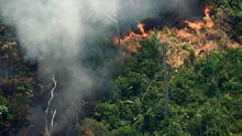 Brasil: destrucción amazónica puede derivar en boicot a sector agropecuario 