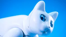 CES 2020: Elephant Robotics presenta gato robot con seis personalidades distintas [VIDEO]