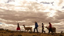 Impulsan turismo rural comunitario en Puno                  