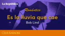 Es la lluvia que cae, canción de Bob Lind 