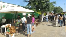 Campiña de Huacho espera recibir 20 mil turistas por Fiestas Patrias [FOTOS]