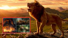 El Rey León: ¡Tienes que verlo! Arte conceptual muestra imágenes que no salieron en la película [FOTOS]