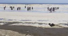 Arequipa: veraneantes reportan cambio de aspecto en mar de Mollendo 