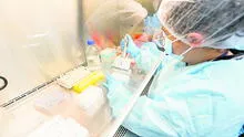 INS detecta la presencia de nuevo linaje de la variante ómicron en el país 