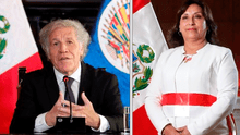 Luis Almagro, secretario general de la OEA, felicitó a Dina Boluarte, nueva presidenta del Perú  